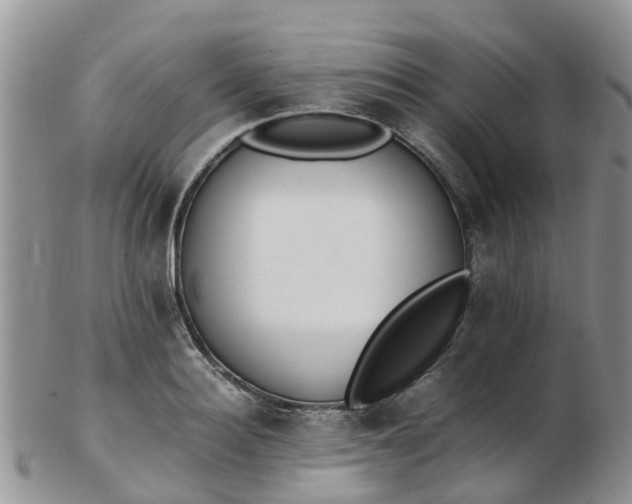 X0000103270940200809122132