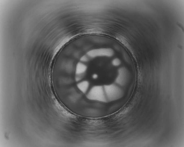 X0000103270941200809122132