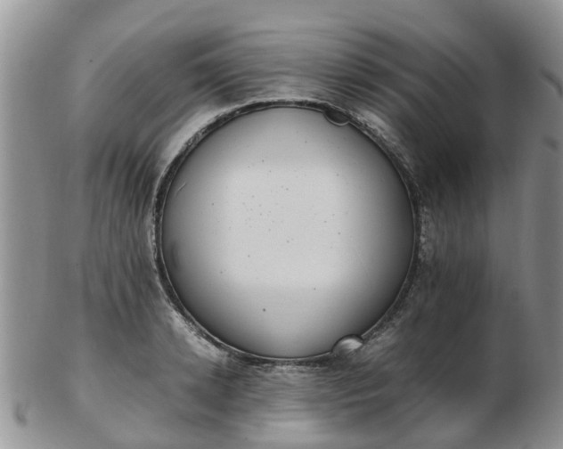 X0000103270942200809122132