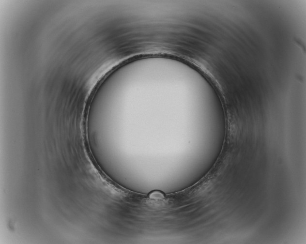 X0000103270943200809122132
