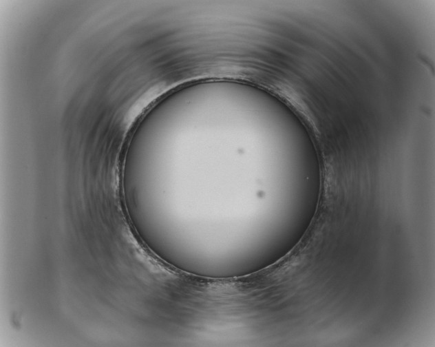 X0000103270944200809122132