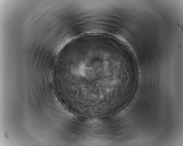 X0000103270945200809122132