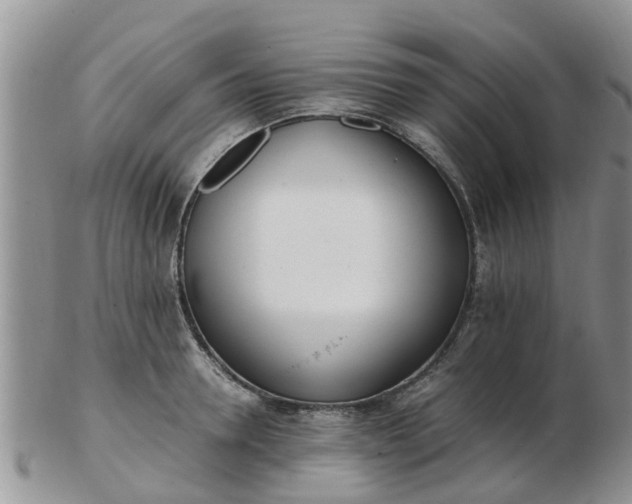 X0000103270946200809122132