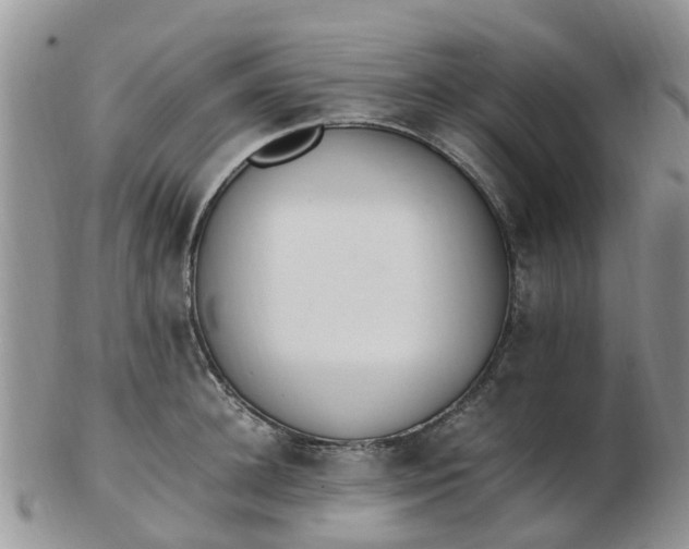 X0000103270948200809122133