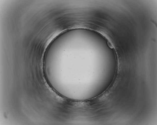 X0000103270949200809122133