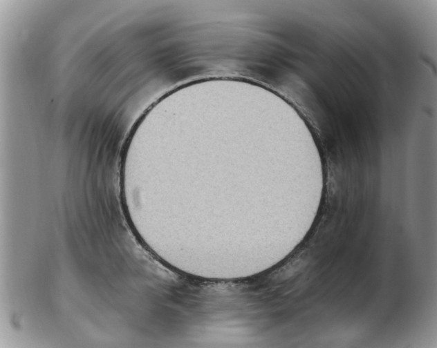 X0000103270950200809122133