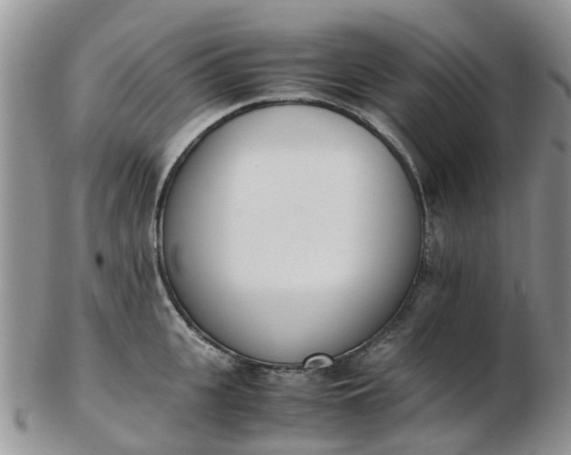 X0000103270951200809122133