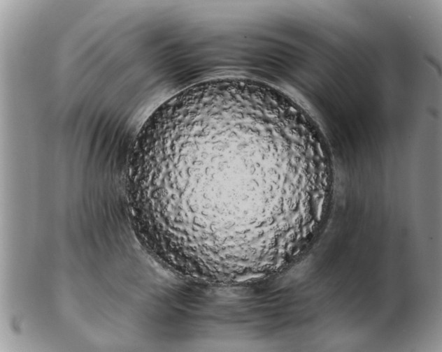 X0000103270953200809122133