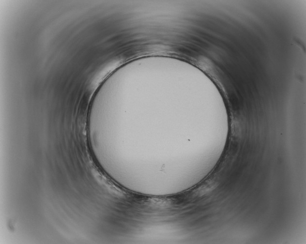 X0000103270954200809122133