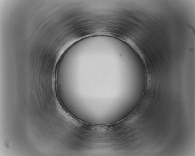 X0000103270955200809122133