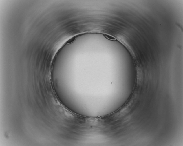 X0000103270956200809122133