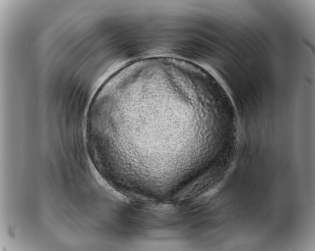 X0000103270957200809122133