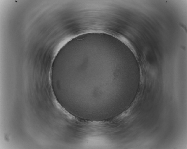 X0000103270958200809122133