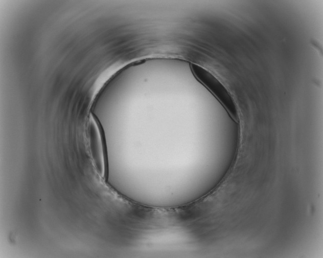 X0000103270960200809122133