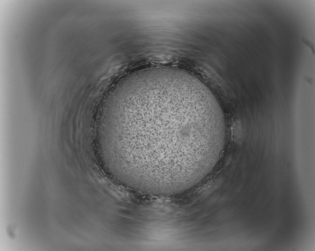 X0000103270961200809122132