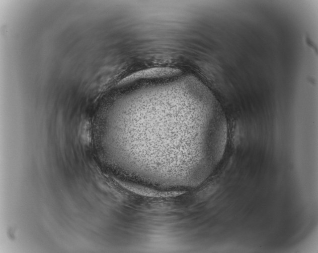 X0000103270962200809122132