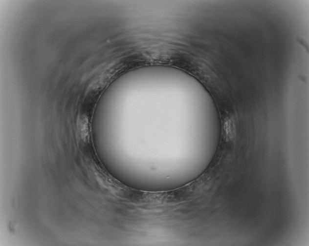 X0000103270963200809122132
