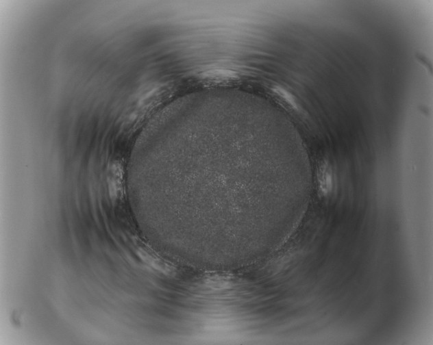 X0000103270964200809122132