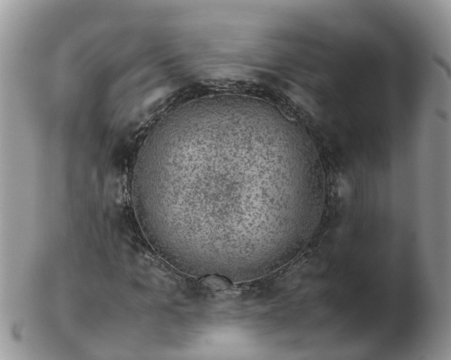 X0000103270965200809122132
