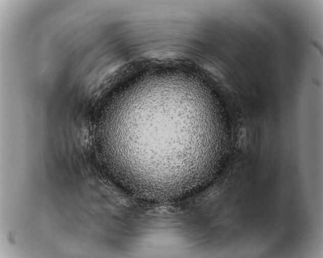 X0000103270966200809122132