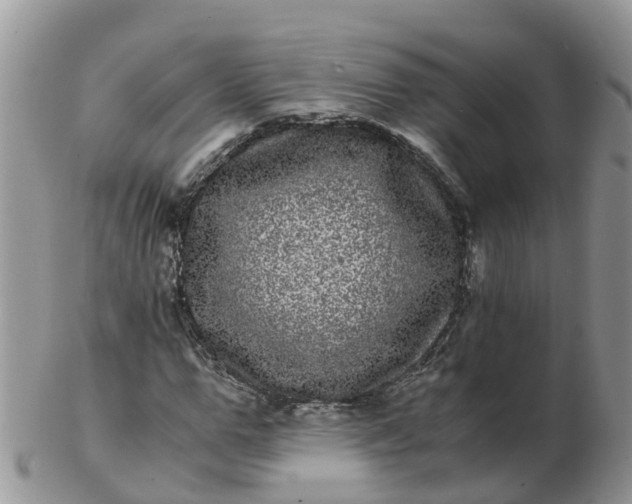 X0000103270967200809122132