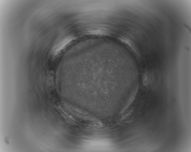 X0000103270968200809122132