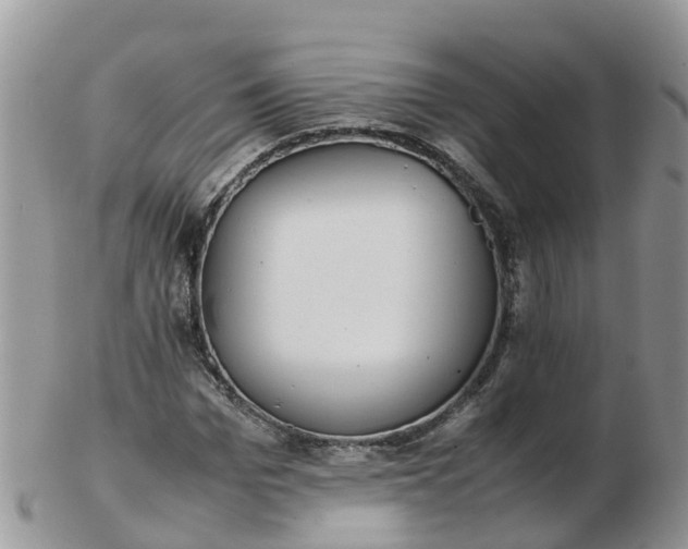 X0000103270969200809122132