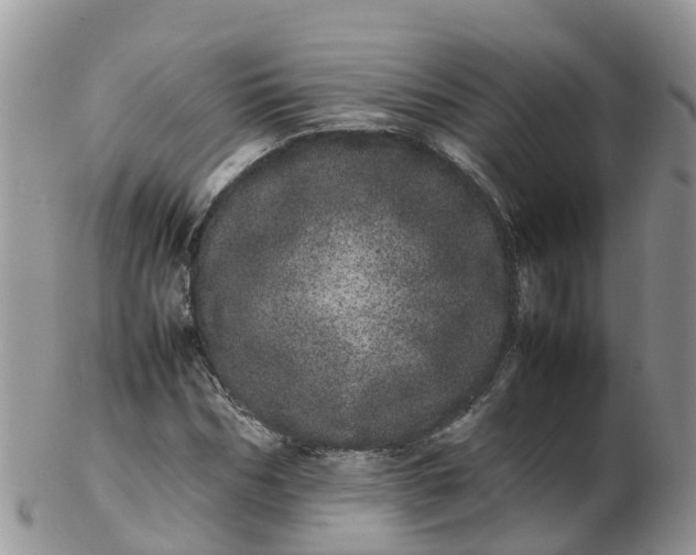 X0000103270970200809122132