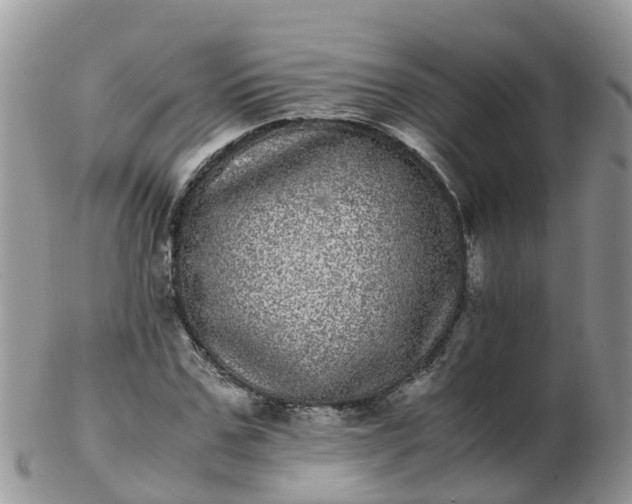 X0000103270971200809122132