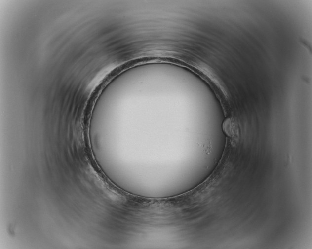X0000103270972200809122132