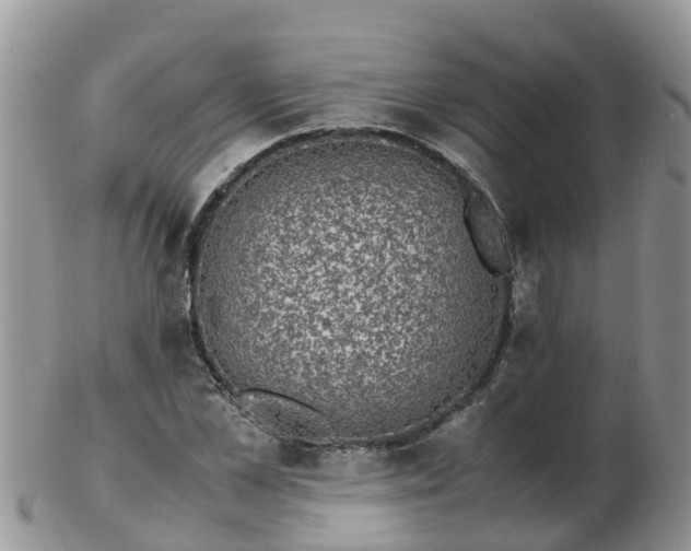 X0000103270973200809122132