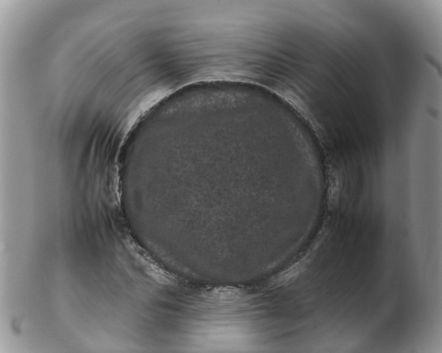 X0000103270974200809122132
