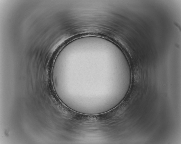X0000103270975200809122132