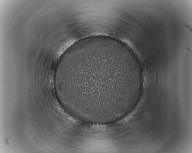X0000103270977200809122132