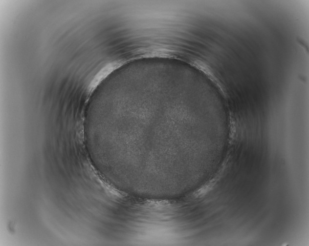 X0000103270978200809122132