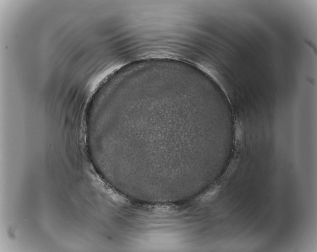 X0000103270979200809122132