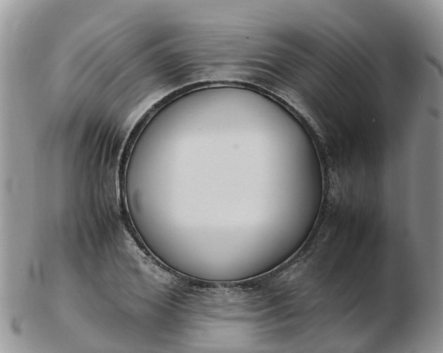 X0000103270980200809122132