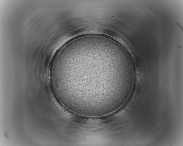 X0000103270981200809122132