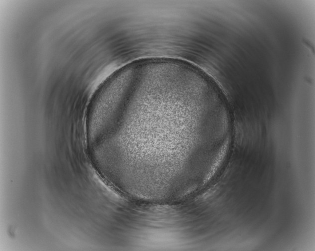 X0000103270982200809122132