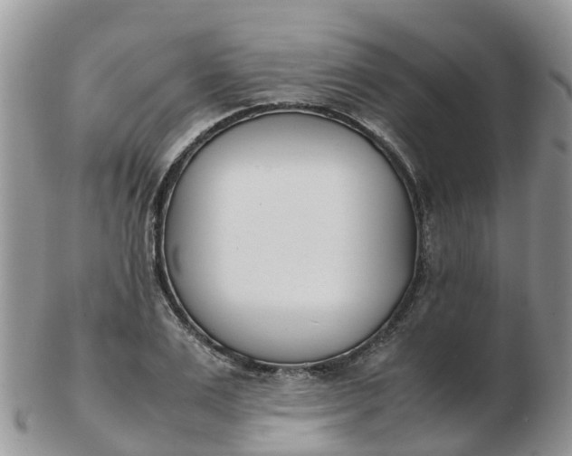 X0000103270983200809122132