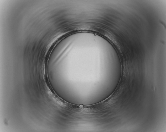 X0000103270984200809122132