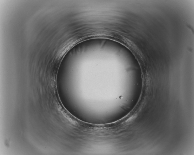 X0000103270985200809122132