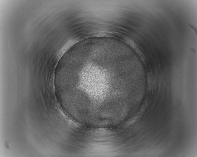 X0000103270986200809122132