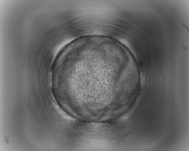 X0000103270987200809122132