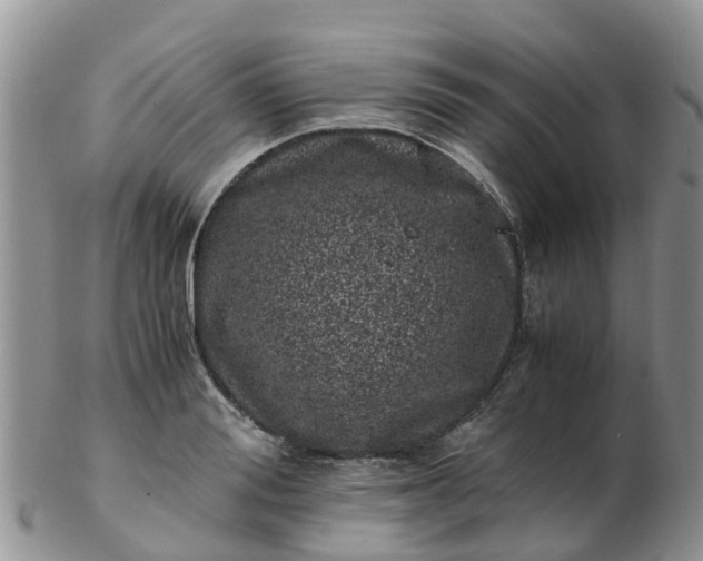 X0000103270988200809122132