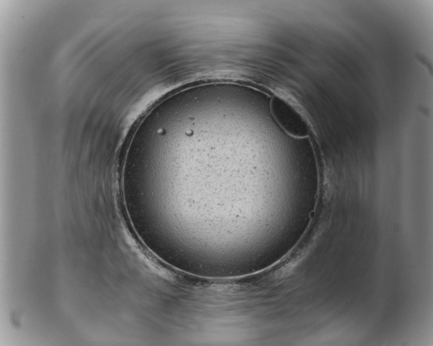 X0000103270989200809122132
