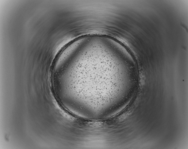 X0000103270991200809122132