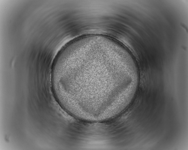 X0000103270992200809122132