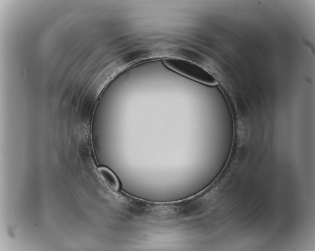 X0000103270993200809122132