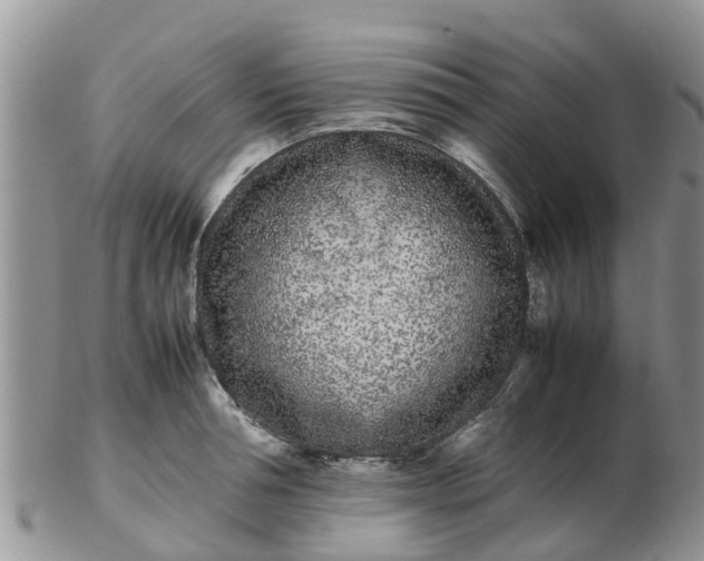 X0000103270994200809122132
